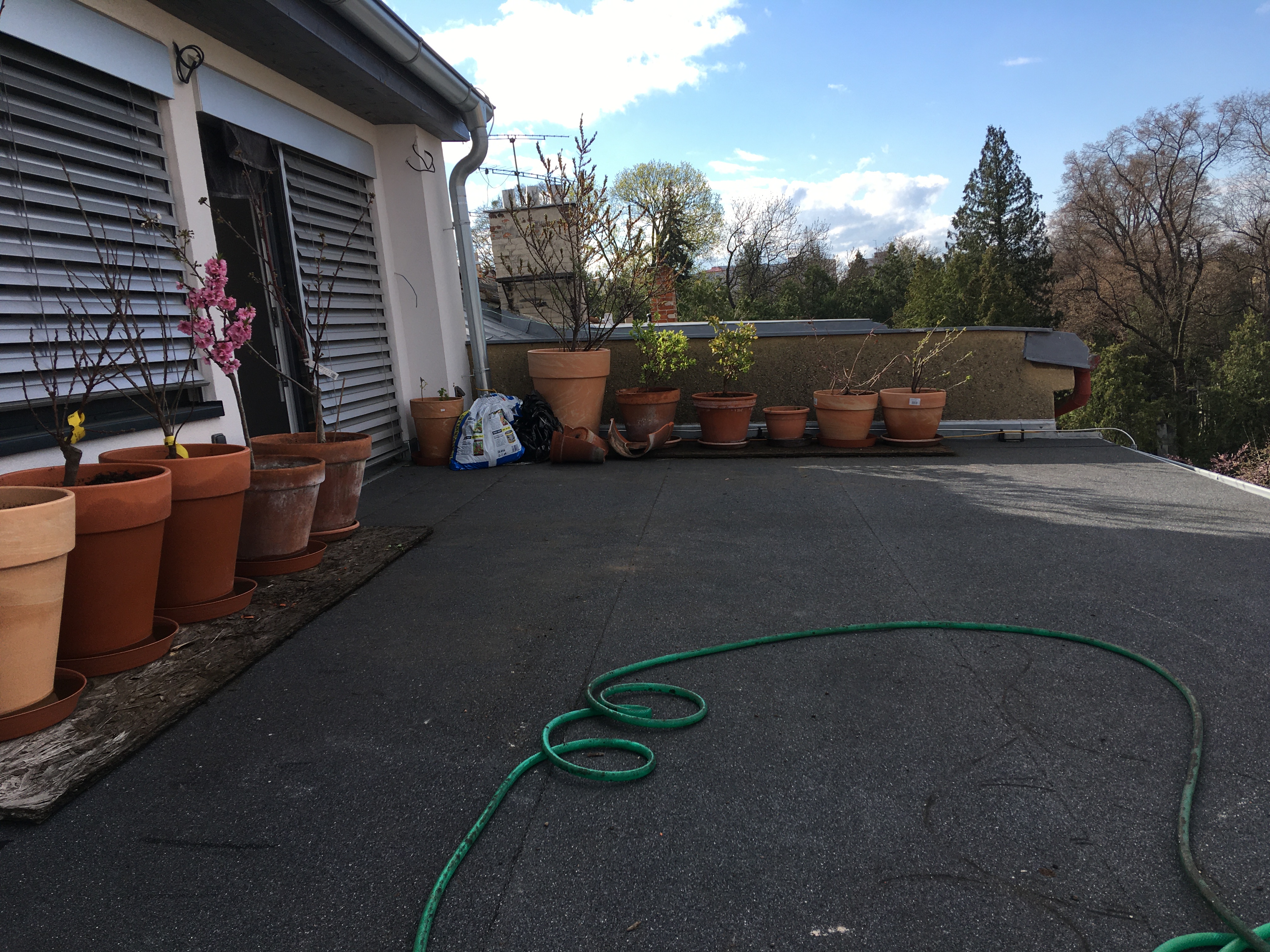 Stav před realizací